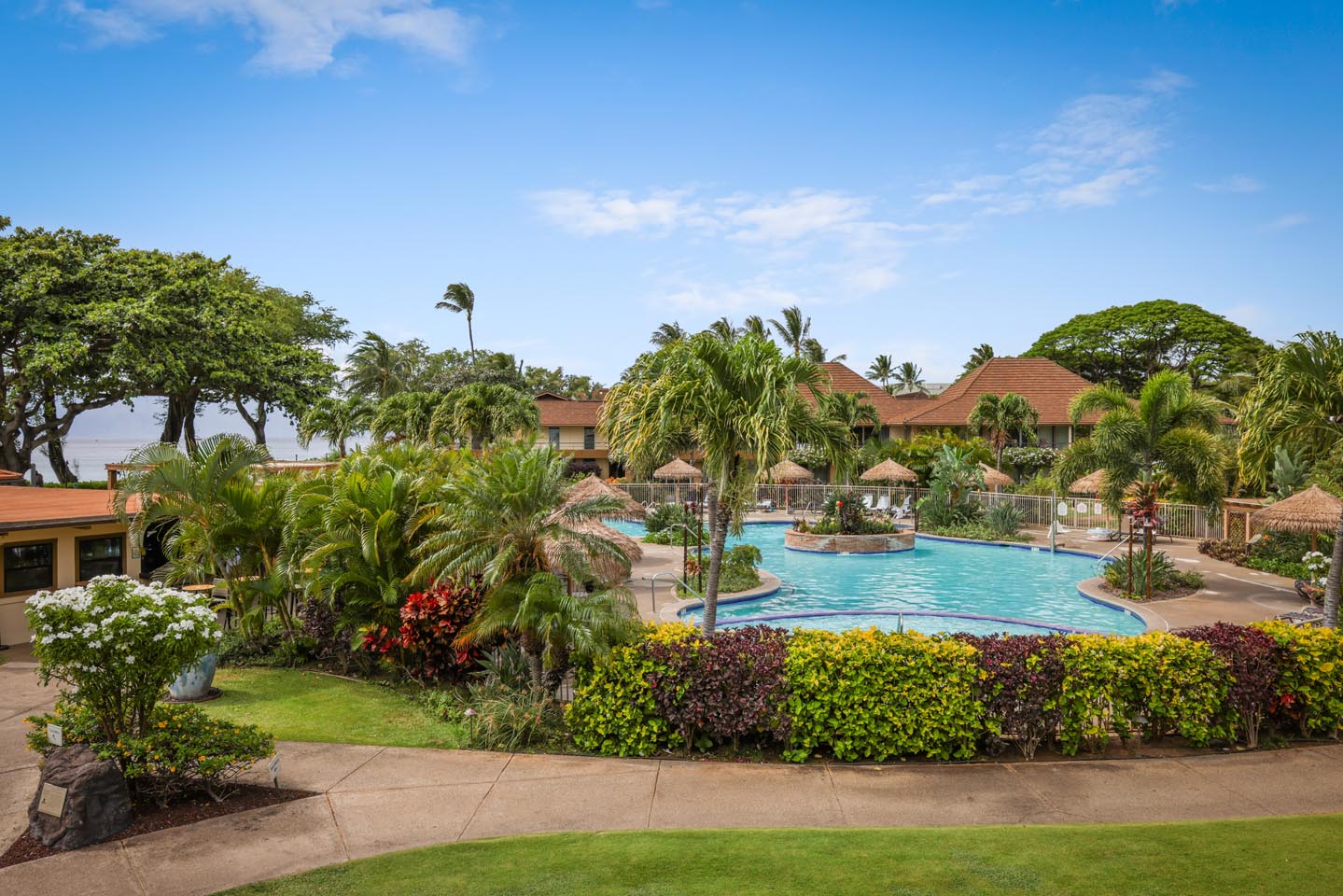 Oceanside Pool and Pacific Ocean View