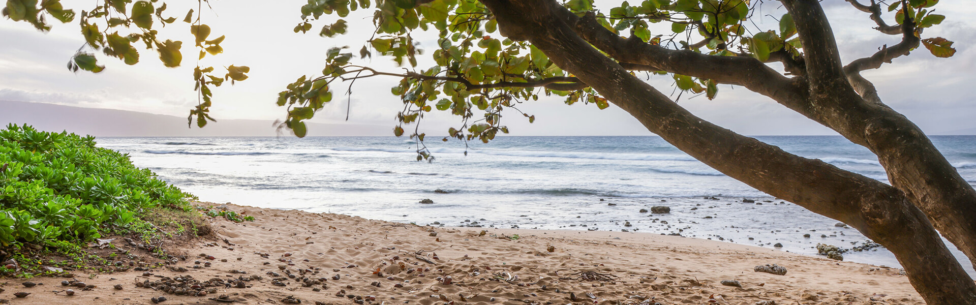 Sandy beachfront.